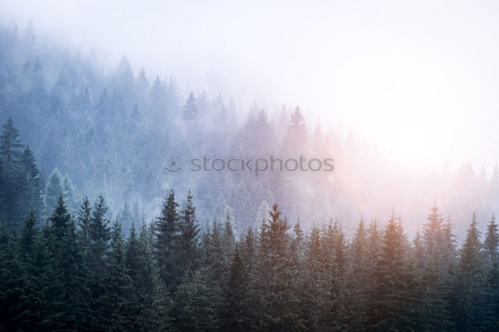 Similar – Autumn September foggy morning in mountains