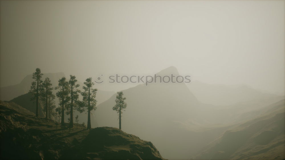 Similar – Image, Stock Photo By the fjord Environment