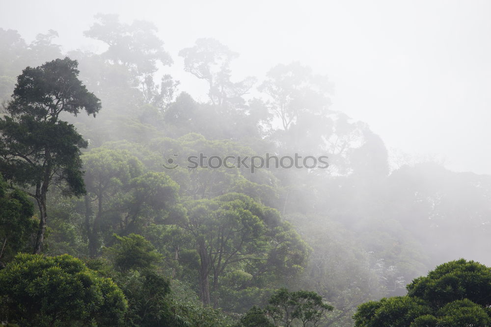Similar – Foto Bild *urlaubstraum* Landschaft