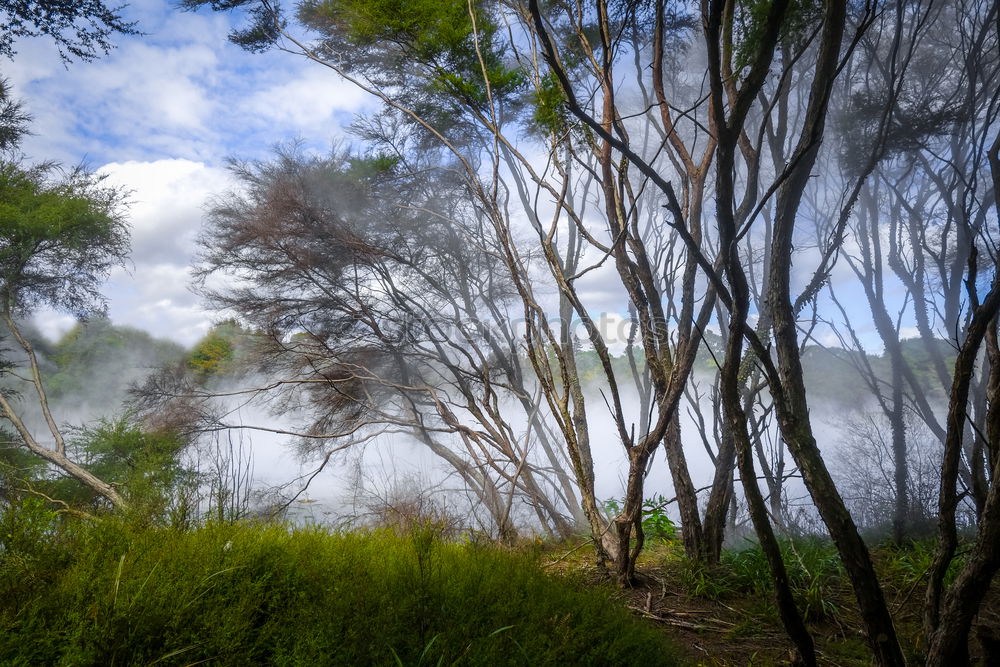 Similar – Foto Bild Aufsteigender Nebel Umwelt