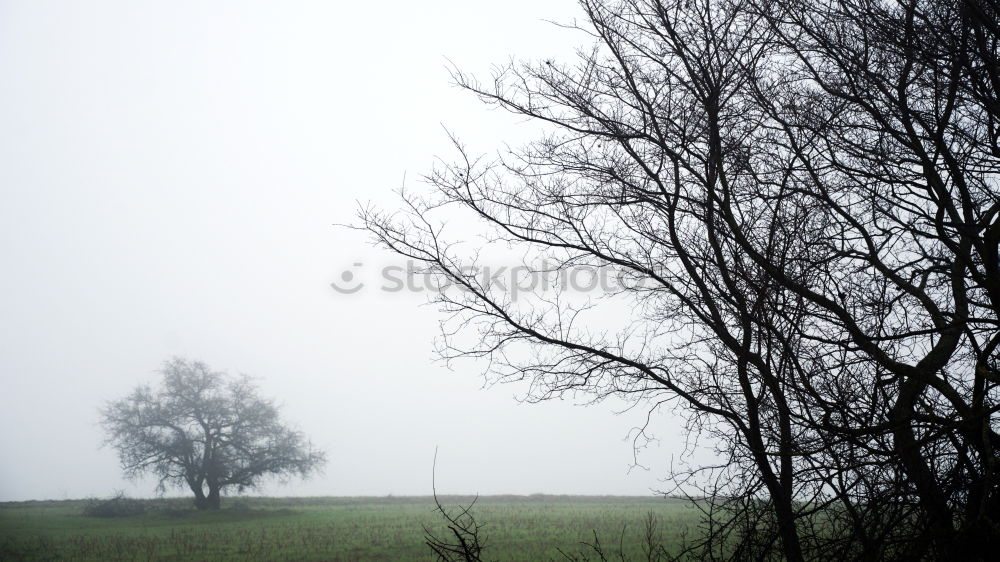 Similar – Foto Bild Winterfreuden Eis Frost