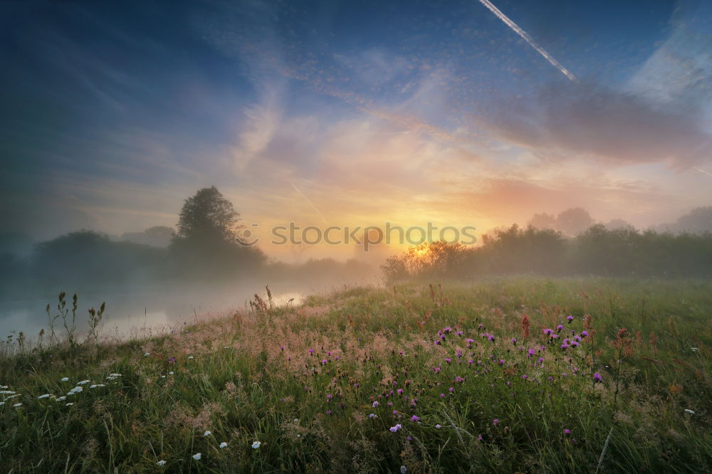 Evening at the lake