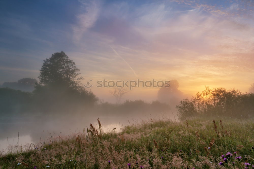 Similar – Warm winter. Sunset with cloud