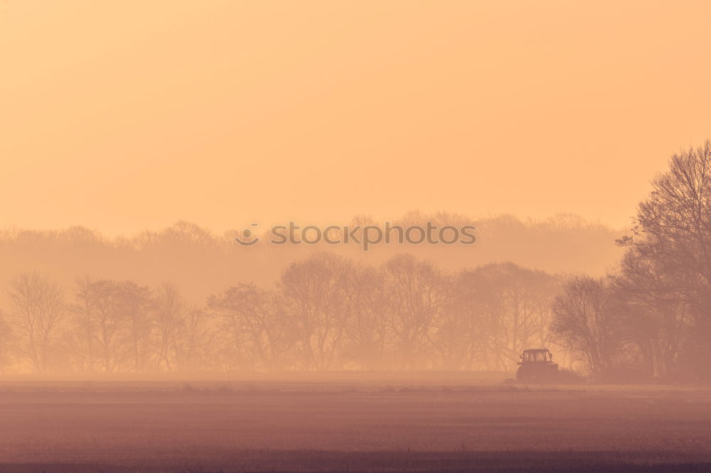 Similar – Morning fog over a stream