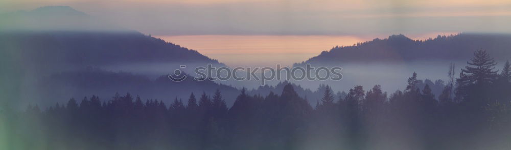 Similar – Image, Stock Photo balcony Tree Back-light