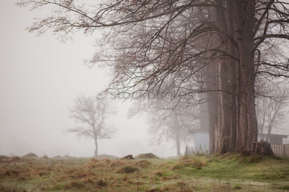 Similar – Cloudy and rainy Autumn