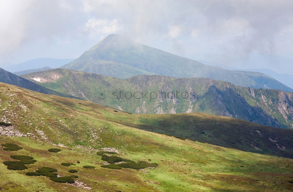 Similar – Image, Stock Photo doubts about the view