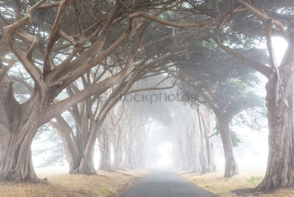 Similar – Image, Stock Photo Ocean View Human being