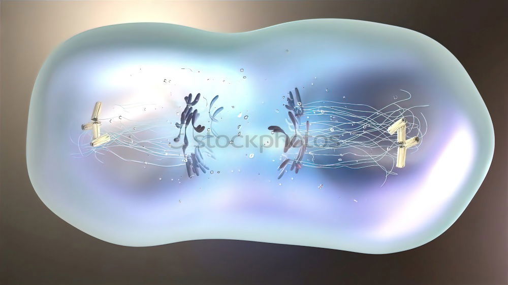 Similar – Image, Stock Photo Jellyfish Spell 3 Aquarium