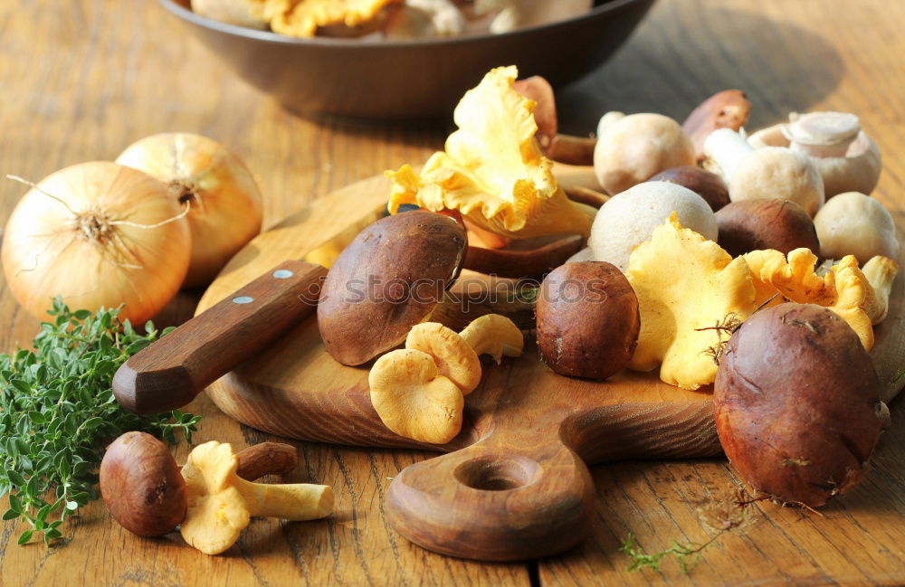 Similar – Image, Stock Photo chestnuts Chestnut tree