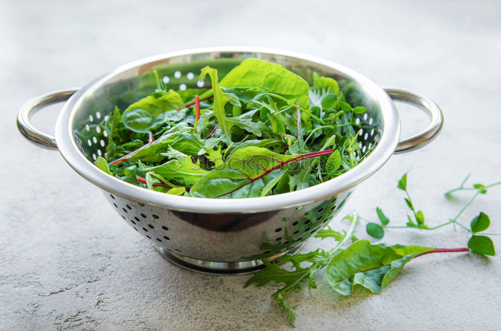 Similar – Image, Stock Photo thyme Thyme Bundle Bound