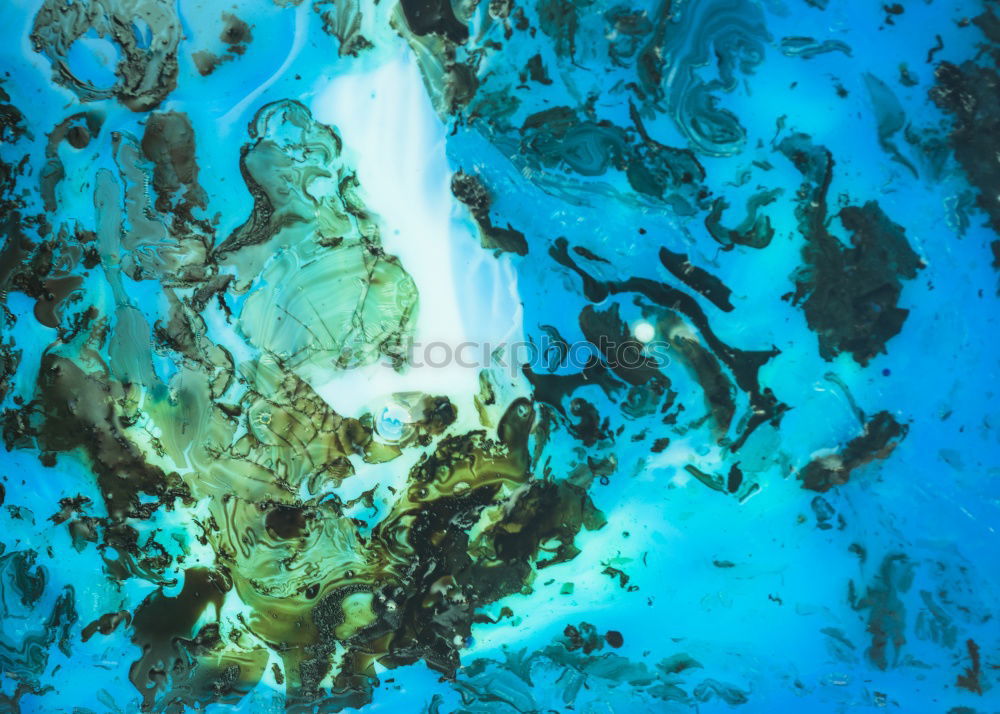 Similar – Foto Bild blubb…blubb…blubb