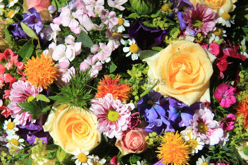 Similar – Image, Stock Photo Bouquet on red background