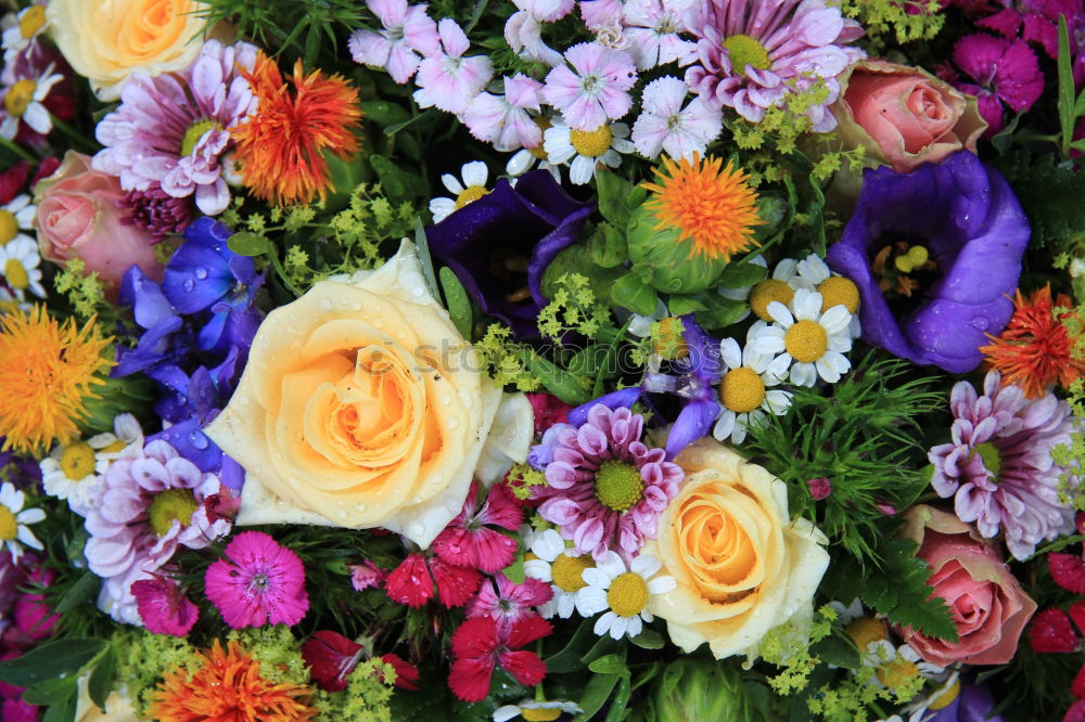 Similar – Image, Stock Photo Bouquet on red background