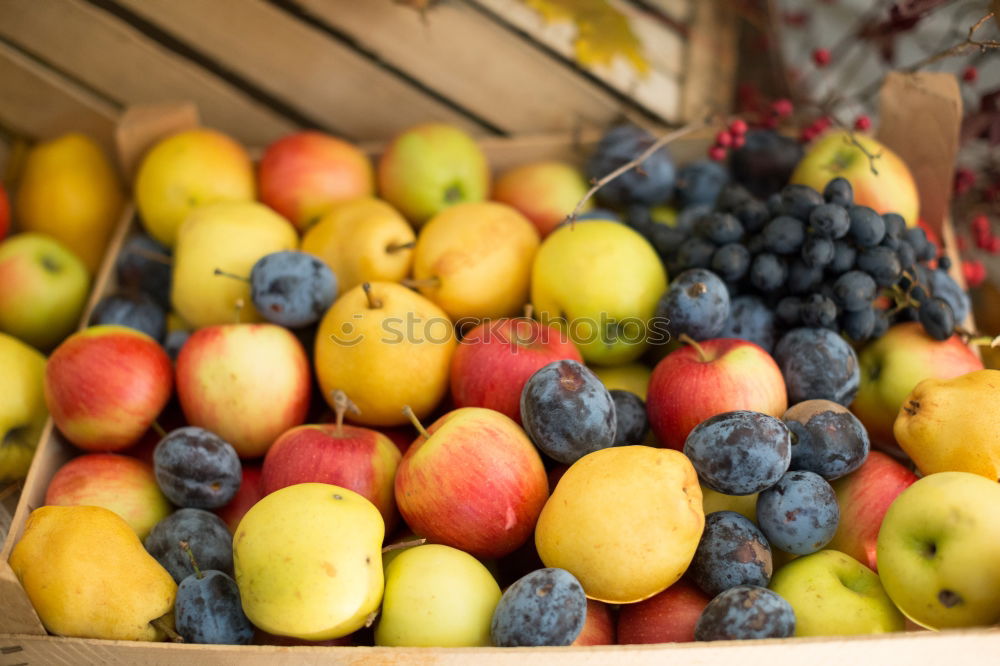 Similar – apple boxes Food Fruit