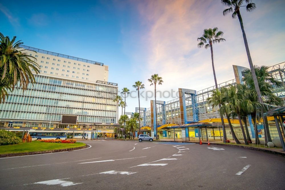 Similar – Image, Stock Photo Palm trees on Calvi