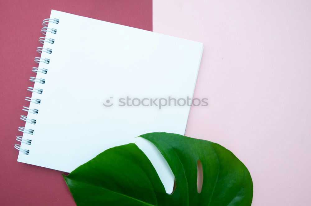 Similar – Image, Stock Photo Paper & the leaf of a monstera on pink background