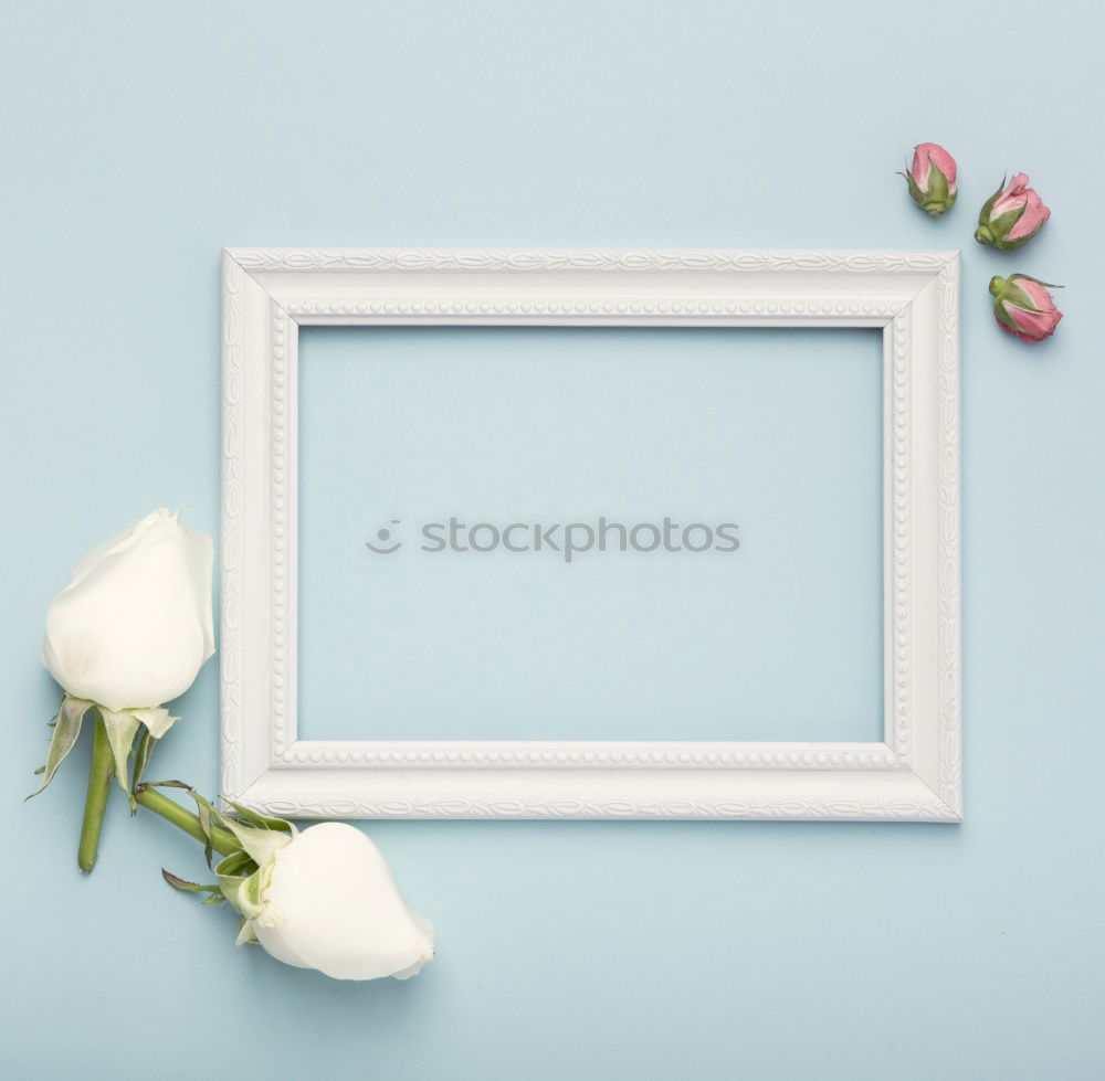 Similar – Image, Stock Photo Tulips on blue background with empty leaf
