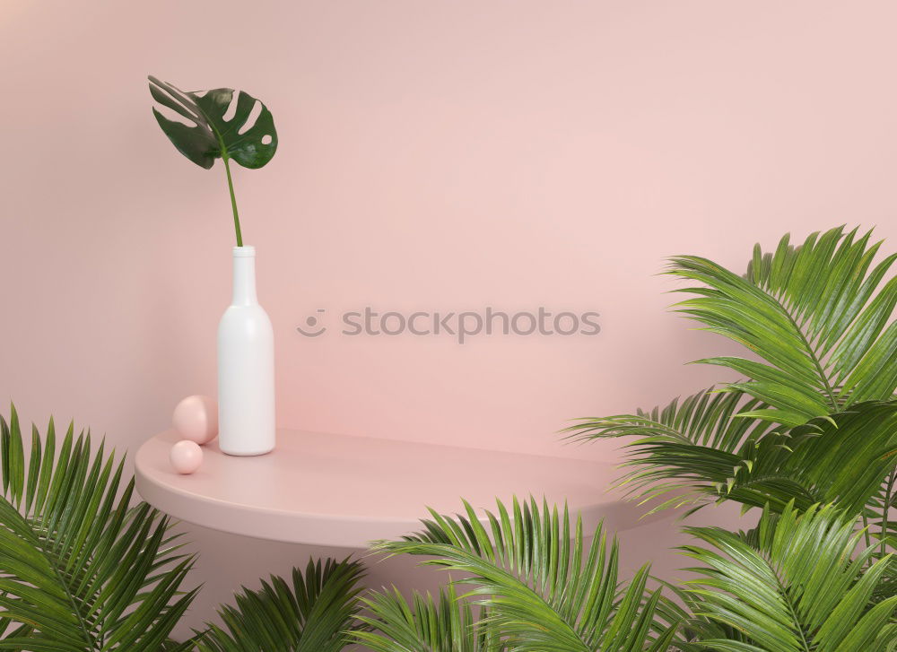 Foto Bild Die Anzucht von Setzlingen zu Hause und rosa LED-Phyto-Leuchtlampen für Pflanzen.