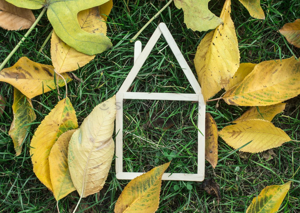 Similar – Image, Stock Photo Small wooden house in garden