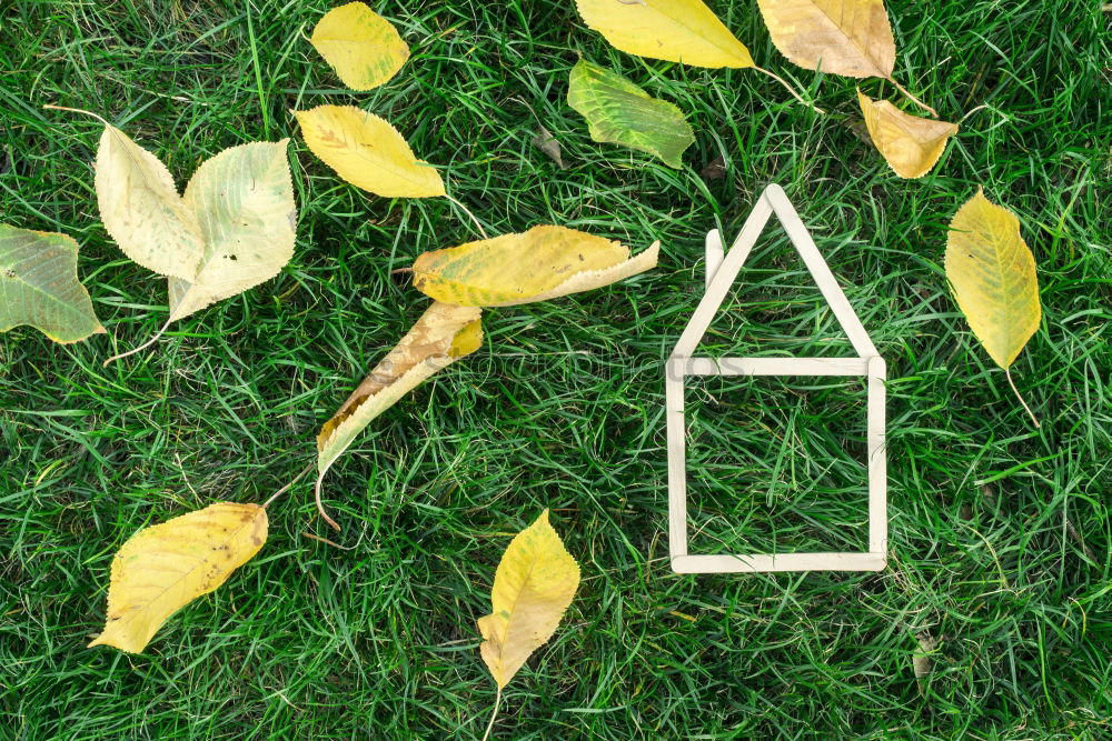 Similar – Image, Stock Photo Small wooden house in garden