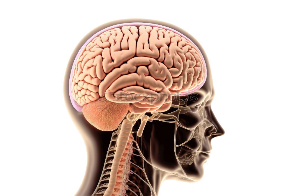 Similar – Image, Stock Photo brain