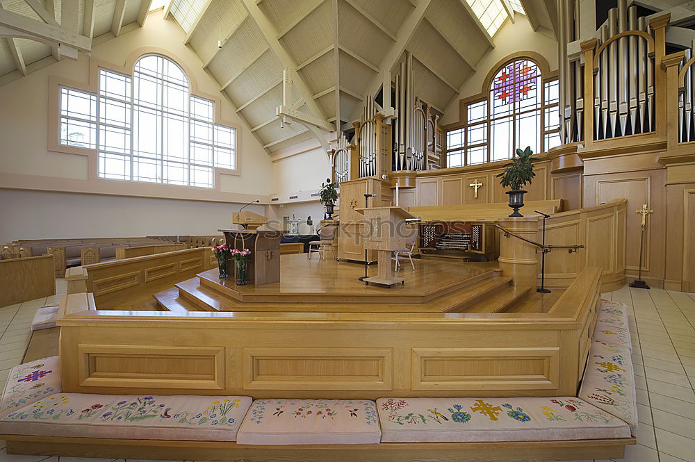 Similar – Image, Stock Photo under the benches