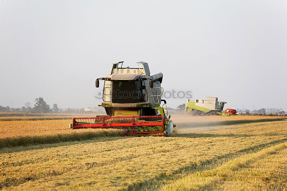 Similar – Image, Stock Photo bulldog Tractor