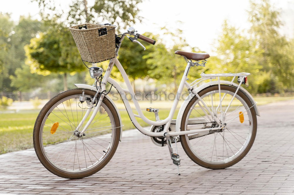 Similar – Rainbow bicycle chained