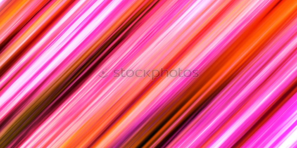 Image, Stock Photo Close up of a Stargazer lily in bloom in July