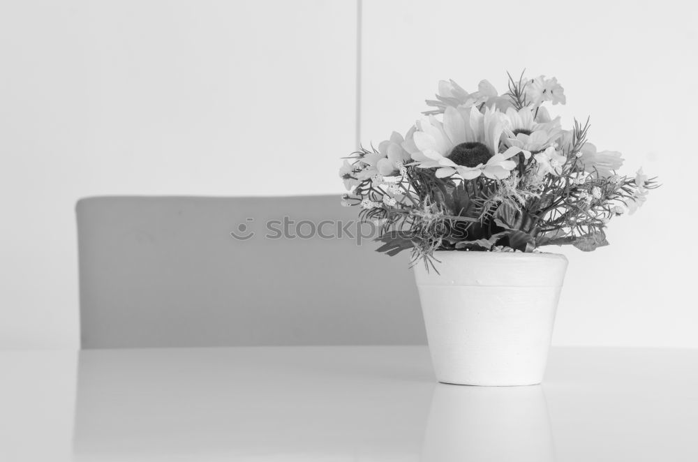 Similar – Blumen im Topf auf dem Tisch im Wohnzimmer