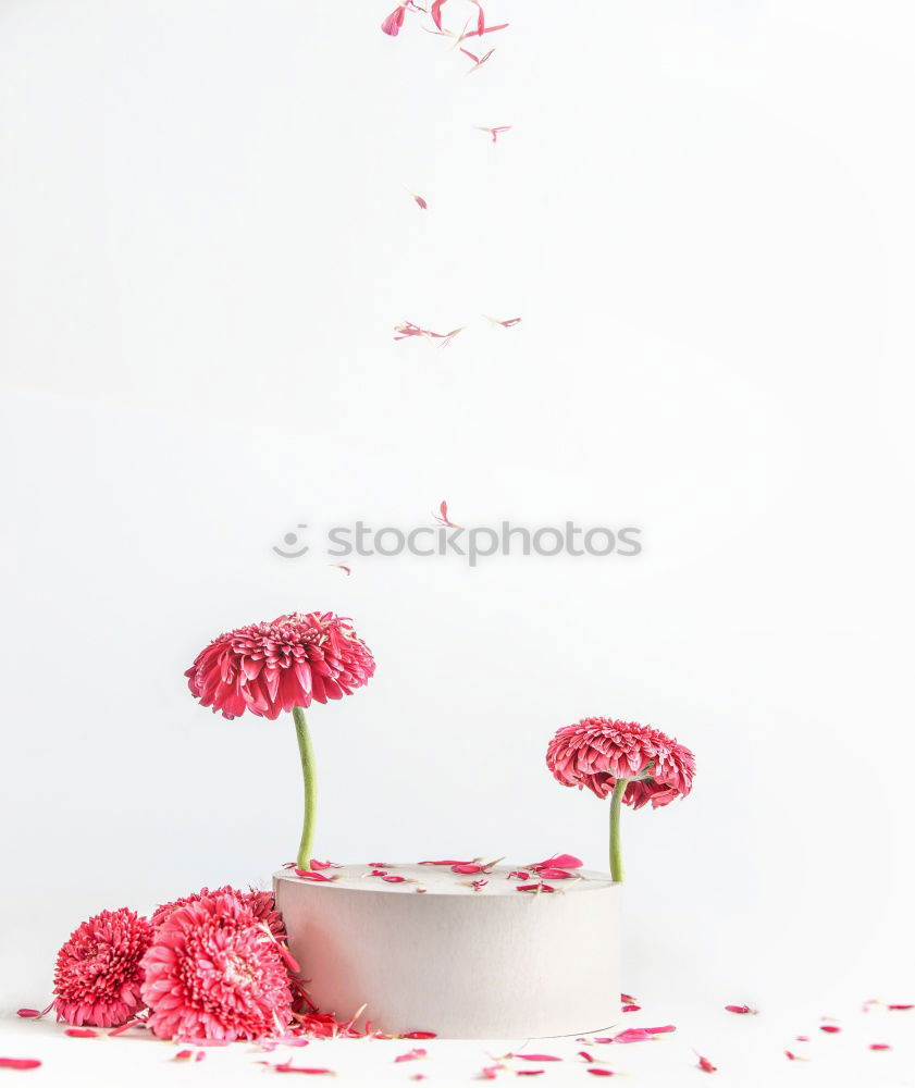 Similar – Image, Stock Photo Hands with homemade ice cream on a stick