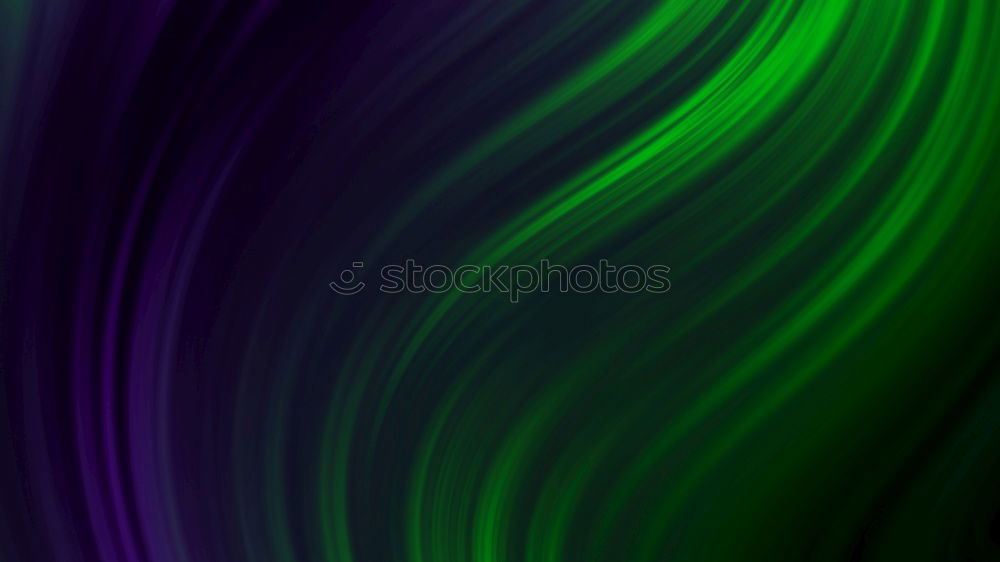Similar – Image, Stock Photo green plant leaves texture in springtime