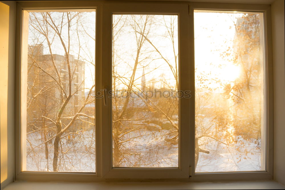 Similar – Image, Stock Photo Man stands at the window in rainy weather and puts on a Frisian mink | trapped in plastic