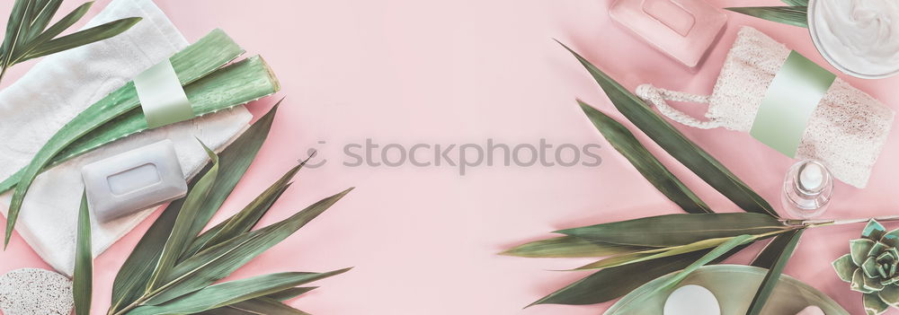 Similar – Tropical jungle leaves on pink background