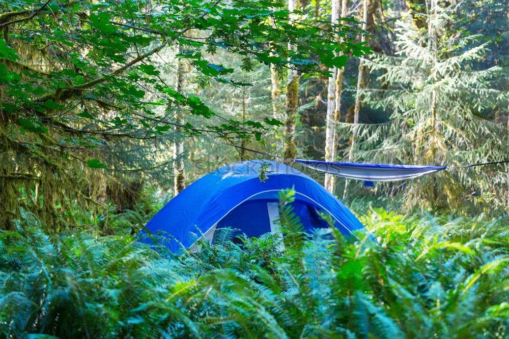 Similar – Image, Stock Photo Young woman near green tent and forest lake