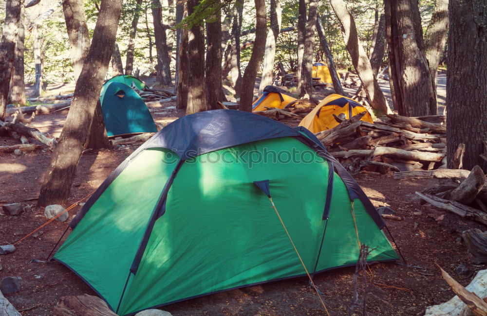 Similar – Orange tent in a pine forest