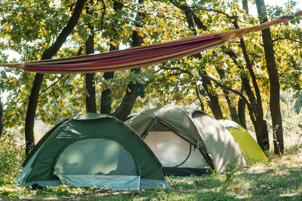 Similar – Orange tent in a pine forest