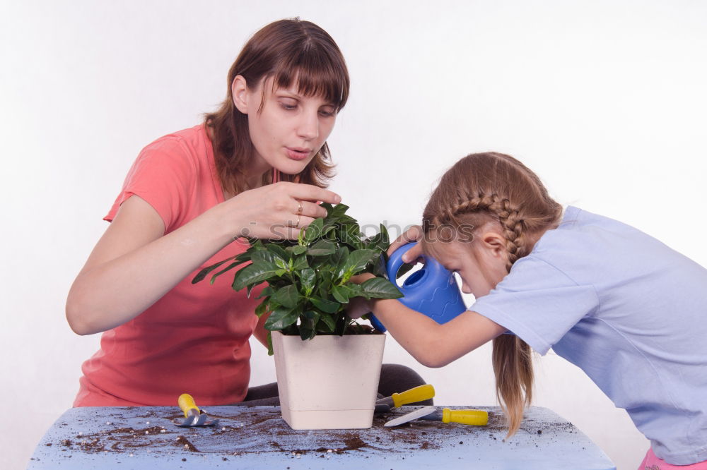 Similar – kid girl is hiding behind house plant in pot