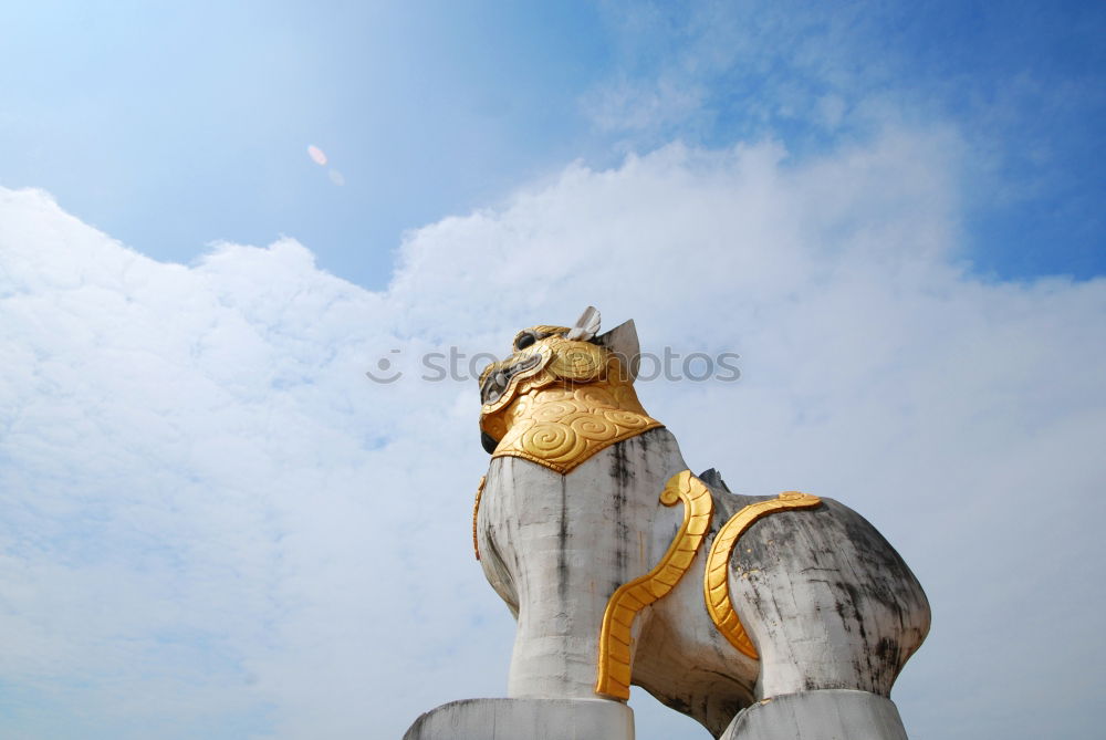 Similar – Image, Stock Photo Golden Rider Human being