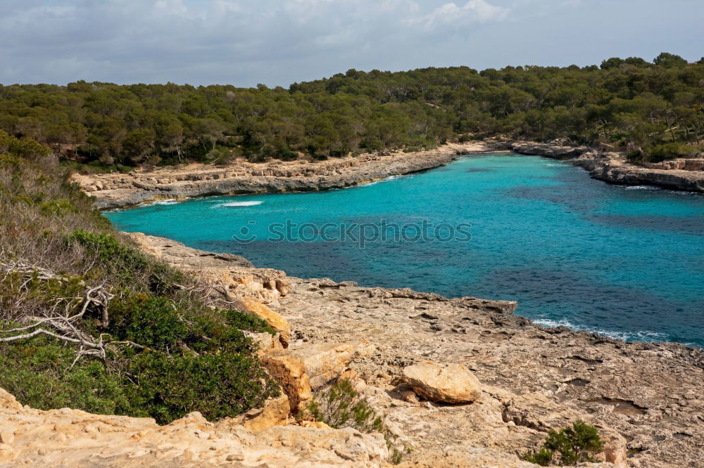 Similar – Image, Stock Photo Mallorca from its beautiful side 63