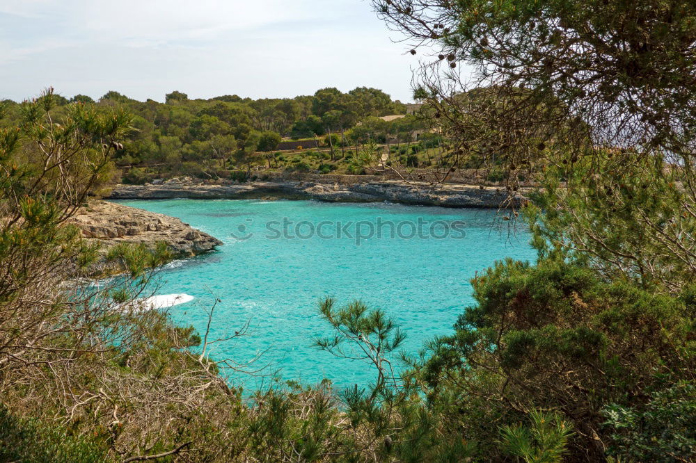 Image, Stock Photo Cala Pi