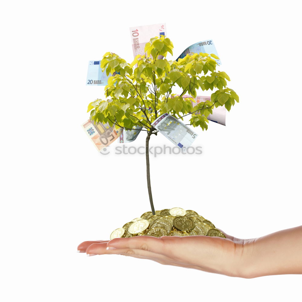 Similar – Image, Stock Photo Woman hand with bouquet of flowers over blue sky