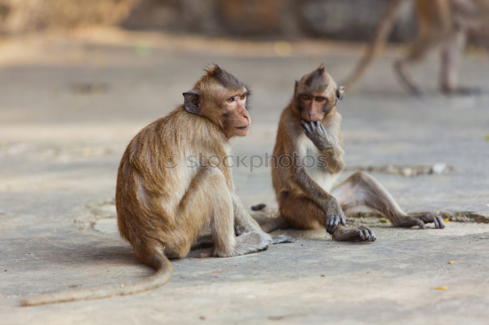 Similar – Image, Stock Photo body care Personal hygiene