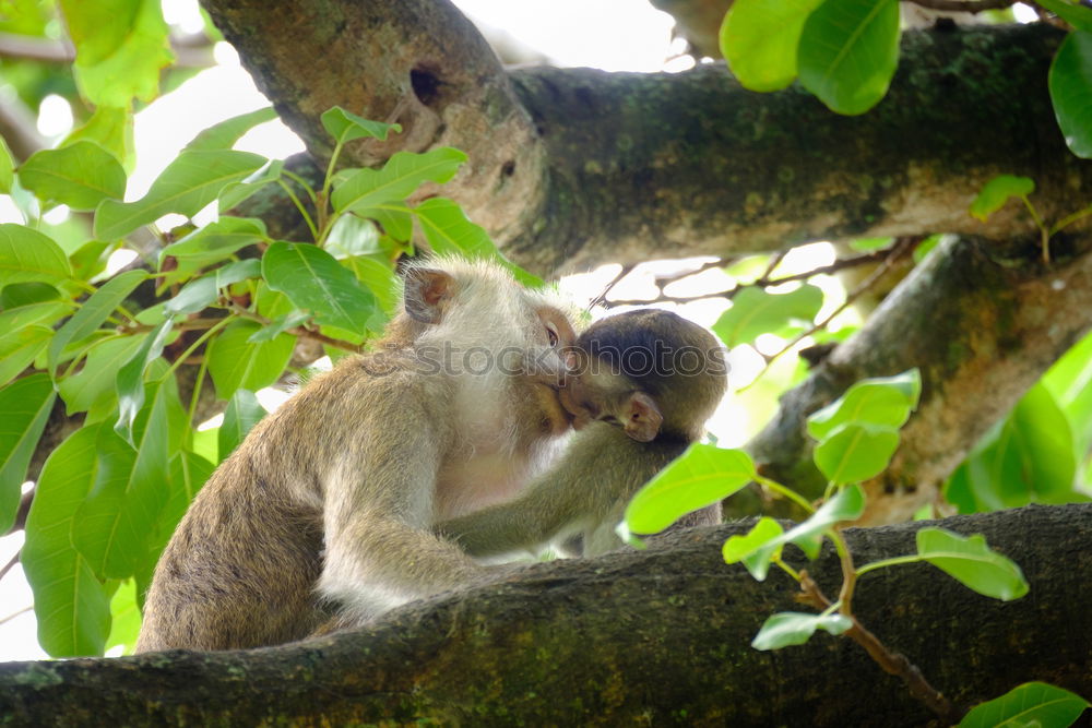 Similar – Image, Stock Photo well equipped for BETTHUPFERLn