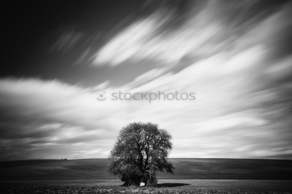 Similar – Foto Bild Einsam Feld Nebel Herbst