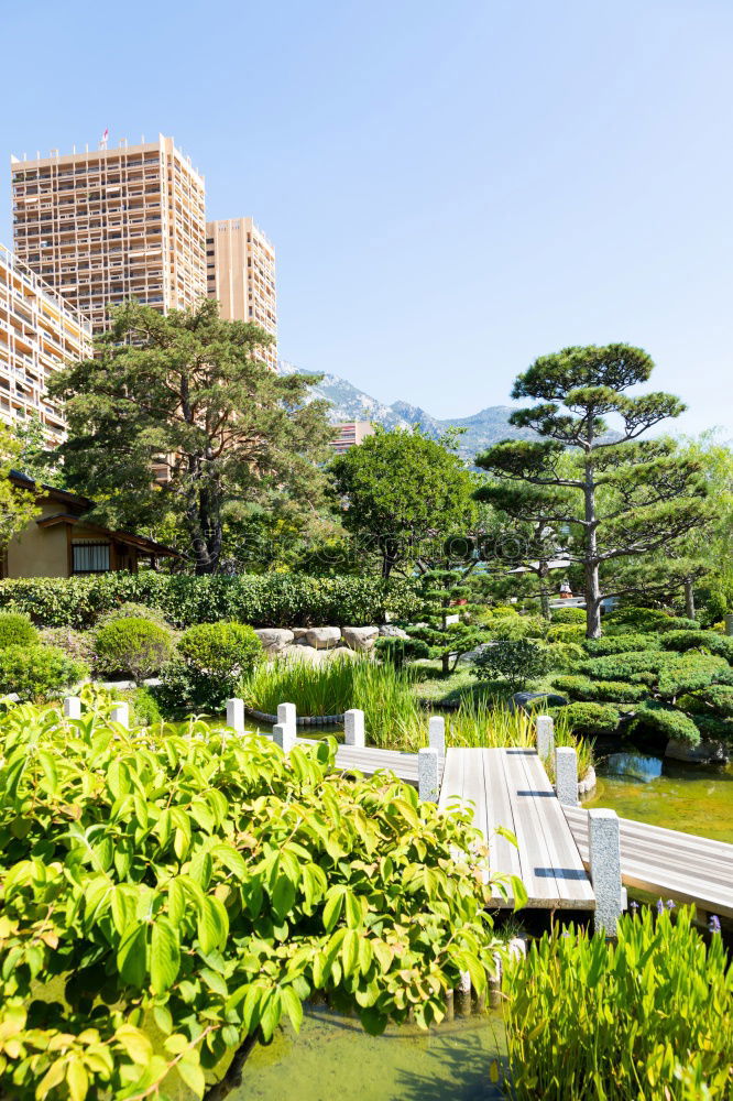 Similar – Image, Stock Photo Hong Kong is an International metropolis.