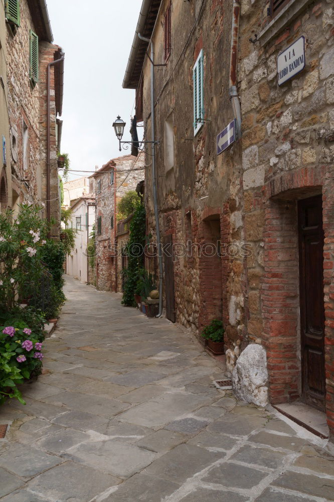 Similar – street Alley Architecture