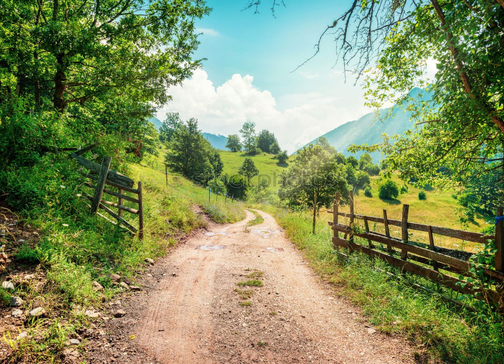 Similar – Image, Stock Photo Women walking on rural road