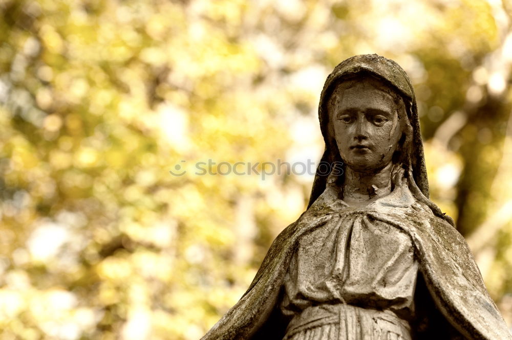 Image, Stock Photo Madonna figure Style Face